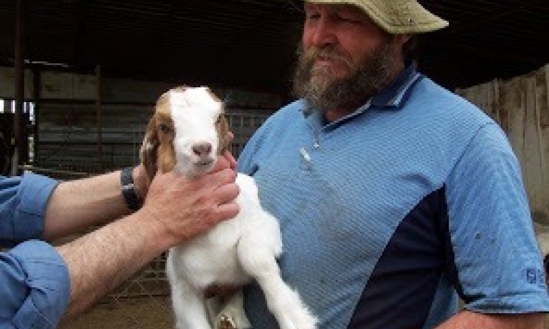 ההרוג בתאונת עבודה ליד יתיר: יעקב טליה ז"ל