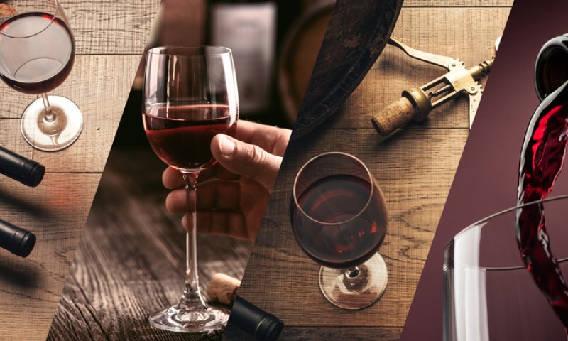 ארבע על ארבע כוסות&bull; המלצות ליינות | חלק א'