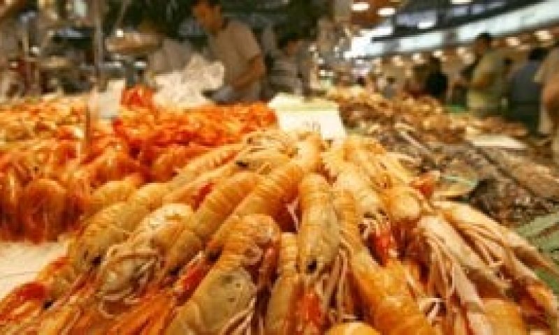 אתר משרד הדתות משיב: "ברכתו של שרימפס &ndash; שהכל"