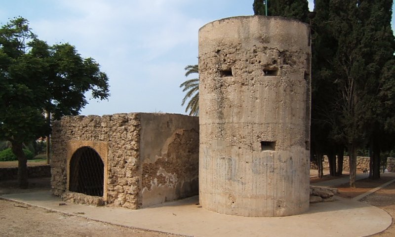 היום בהיסטוריה: הקרב על 'הבית הלבן' בחולון