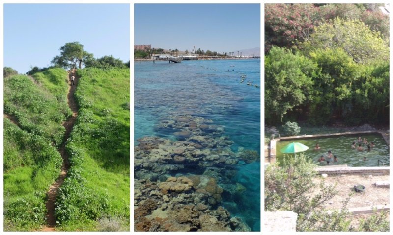 לא תאמינו מה אפשר למצוא מטר מהמלון