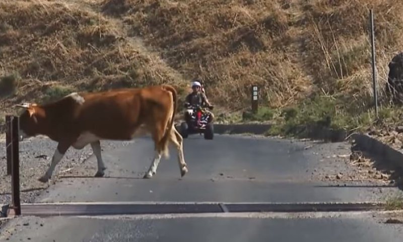 צפו: דרכים מקוריות לחצות את ישראל לאורכה