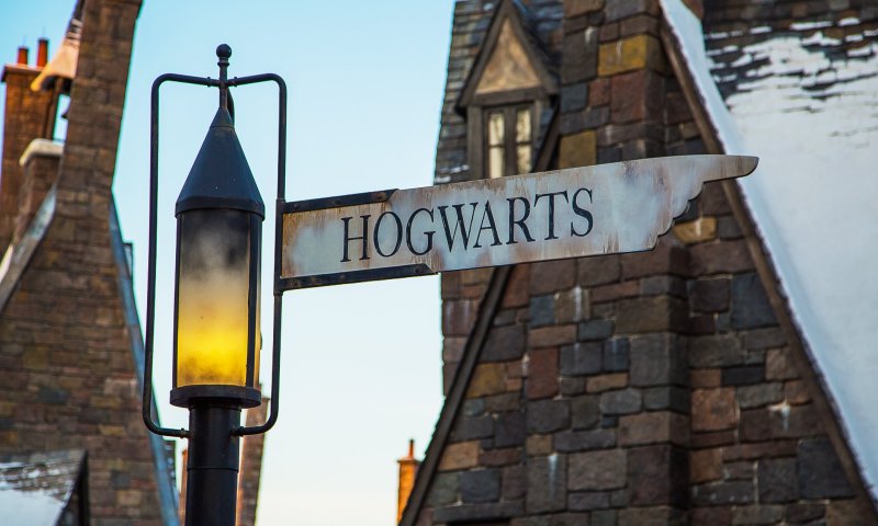 הליהוקים נחשפו: אלה הילדים שיגלמו את הארי פוטר, רון והרמיוני