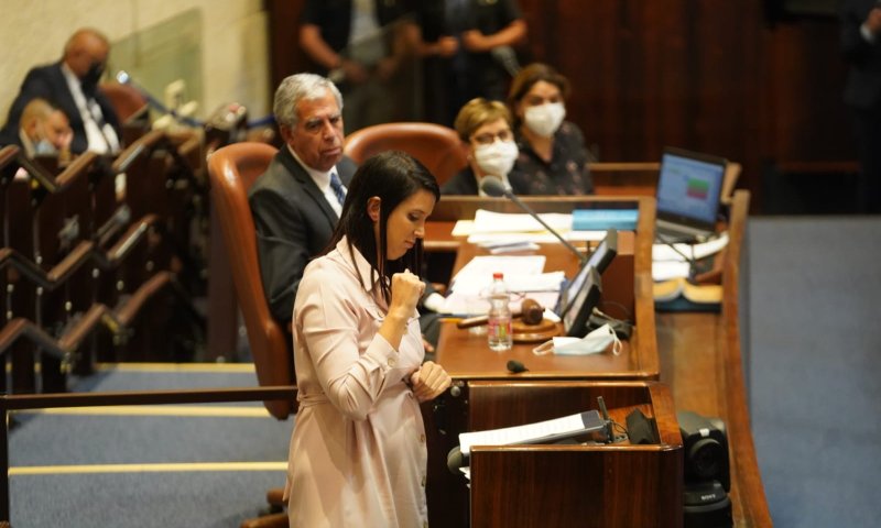 לראשונה: נאום בכנסת בשפת הסימנים &bull; צפו