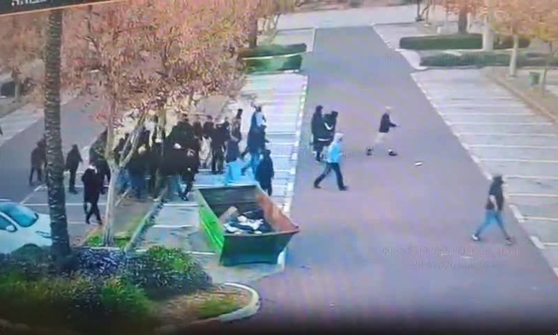 רימוני צה"ל ואלות &ndash; 24 אוהדי הפועל ת"א מועמדים לדין | תיעוד