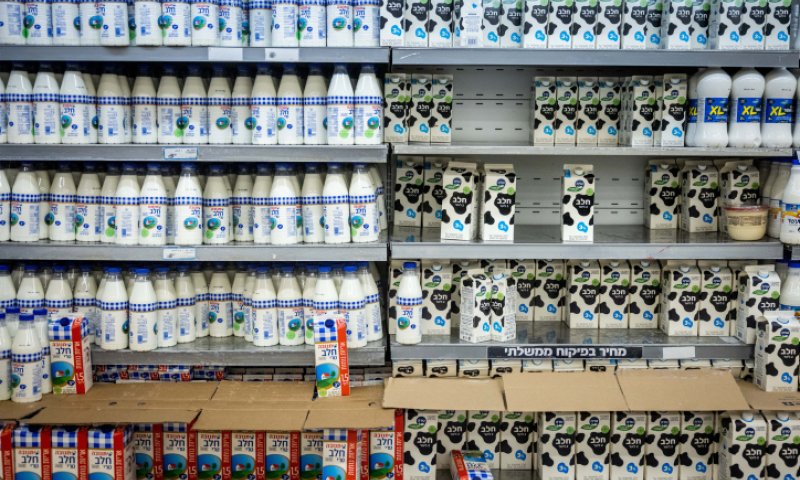 מהיום: אלו המחירים החדשים של מוצרי החלב