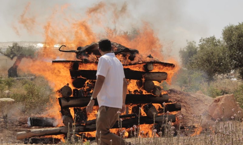 לקראת המקדש: ניסוי בשריפת פרה אדומה