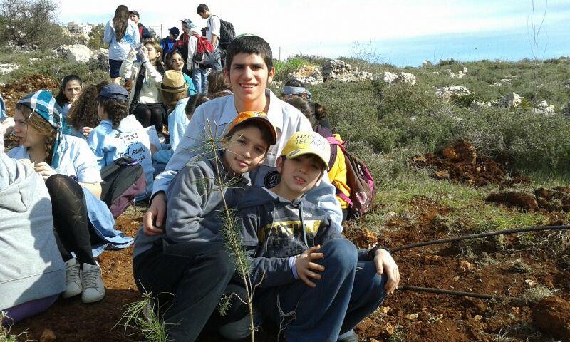 נוכחות שיא של חניכים בנטיעות בני עקיבא