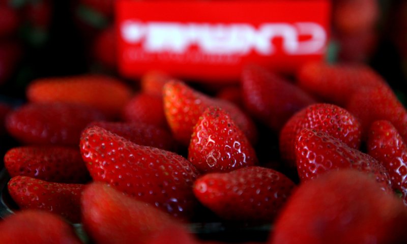 הרב ליאור על מסיבת אמֵנים: "לא יודע מאיפה זה הגיע"