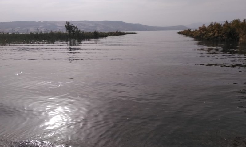 למרות השרב: מפלס הכנרת שומר על יציבות