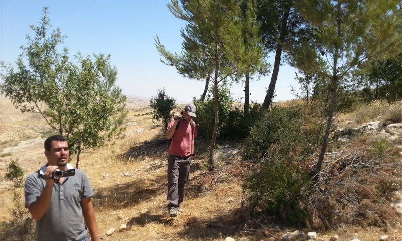 מנותקים: פעילי שמאל בפרובוקציה באביגיל