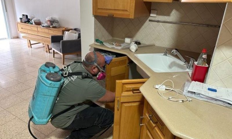 קסם הדברות מסבירים באילו מקרים כדאי לעשות הדברת מזיקים דווקא בחורף