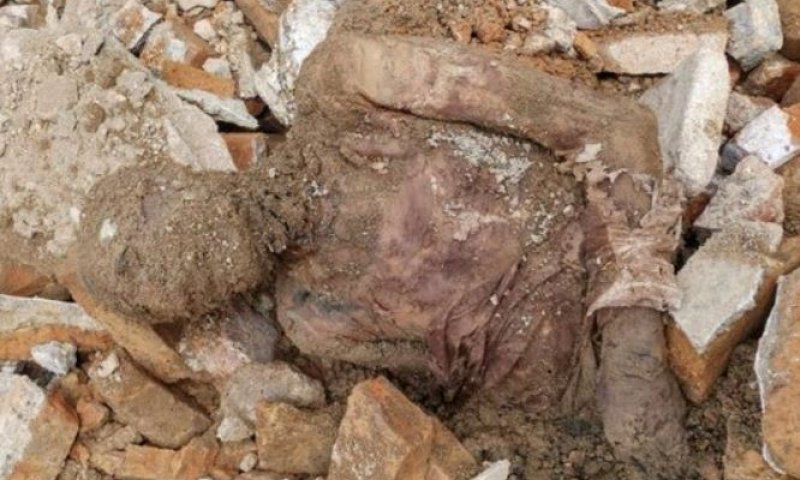 לאחר שנים:  נמצאה גופתו האבודה של שליט איראן