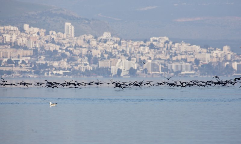 דאגה: למרות הגשמים, מפלס הכנרת בקושי עולה