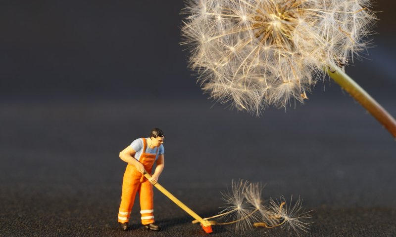 שואב אבק אלחוטי או רובוטי? בעד ונגד