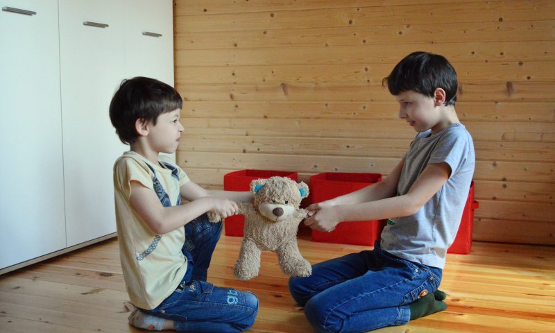 רבים ואוהבים &ndash; על ריבים בין אחים