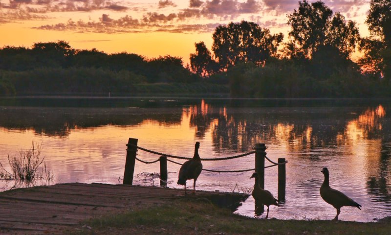 במקום גשם | עליה בטמפ' וחום כבד; תחזית מזג האוויר