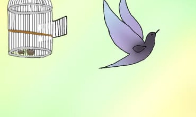 זהו, החלטתי שאני בוחרת בעצמי