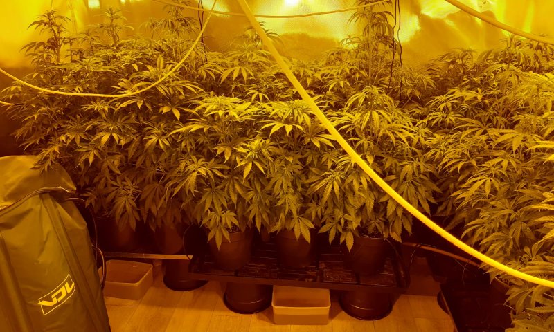 המשטרה תפסה מעבדת סמים בשכונת מגורים