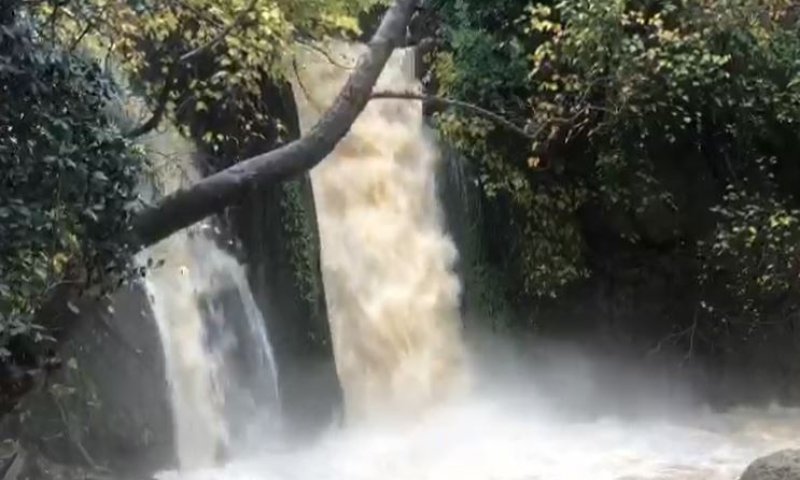 תיעוד מרהיב: זרימות אדירות במפלי הצפון. צפו