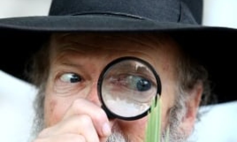 סיפור חסידי לסוכות: לולב צריך אגד