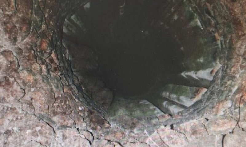 נדקר למוות והושלך לבור: פוענח הרצח של משה צברי