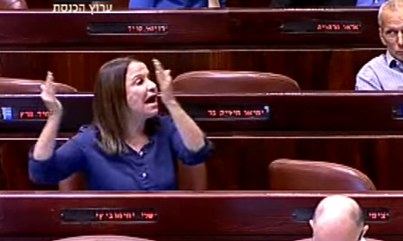 צפו &bull; אלקין ציטט את רבין ועורר מהומה במליאה