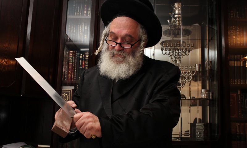 אחרי חוק השואה, הצעת חוק לאסור שחיטה בפולין