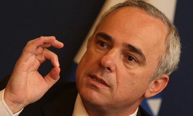 שטייניץ: "להקים ממשלת אחדות לאומית רחבה"