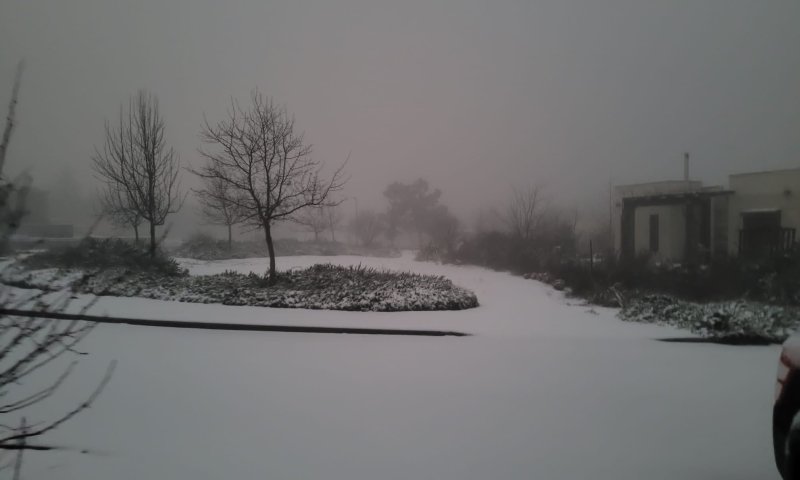 שלג ירד ברמת הגולן; בערב יגיע גם לירושלים?