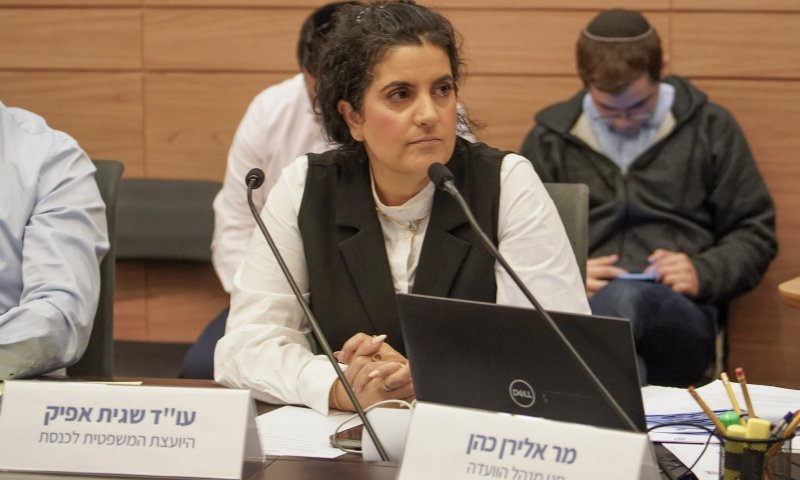 יועמ״שית הכנסת מגיבה: ״הממשלה יכולה להתנהל כרגיל״