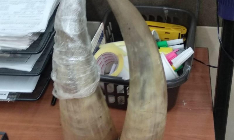 מזהים? זה מה שניסו ערבים להבריח במעבר אלנבי