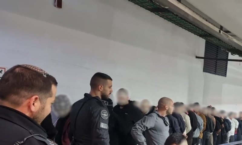 התחבאו בפרדס ביפו: 25 שב"חים מאזור חברון נעצרו