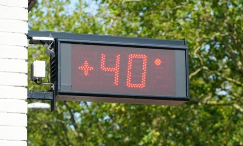 תחזית מזג אוויר | זינוק בטמפ';חום כבד ושרב קיצוני