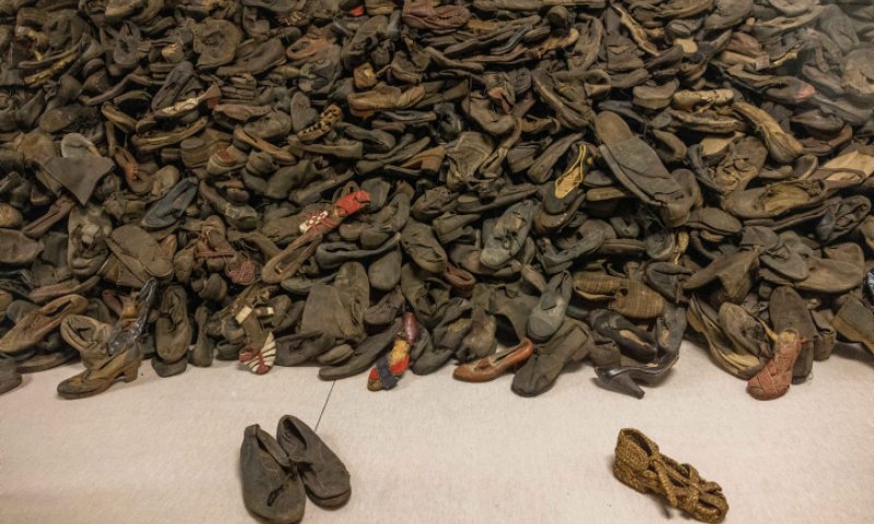 הקשר שבין ילדות בשואה לפוסט טראומה וזקנה