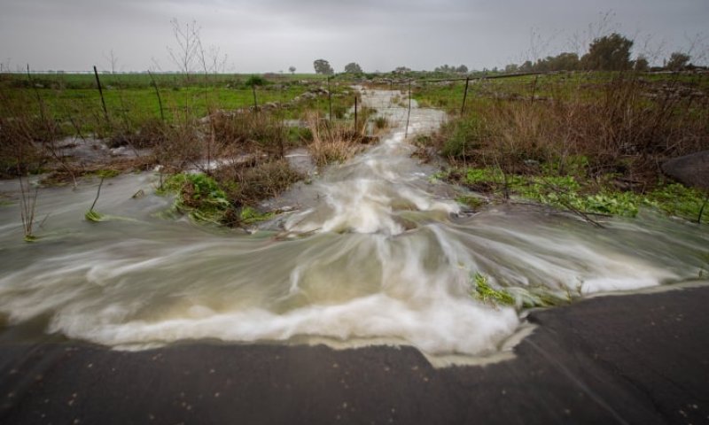 התקררות, רוחות וגשם בשני איזורים: תחזית מזג אוויר