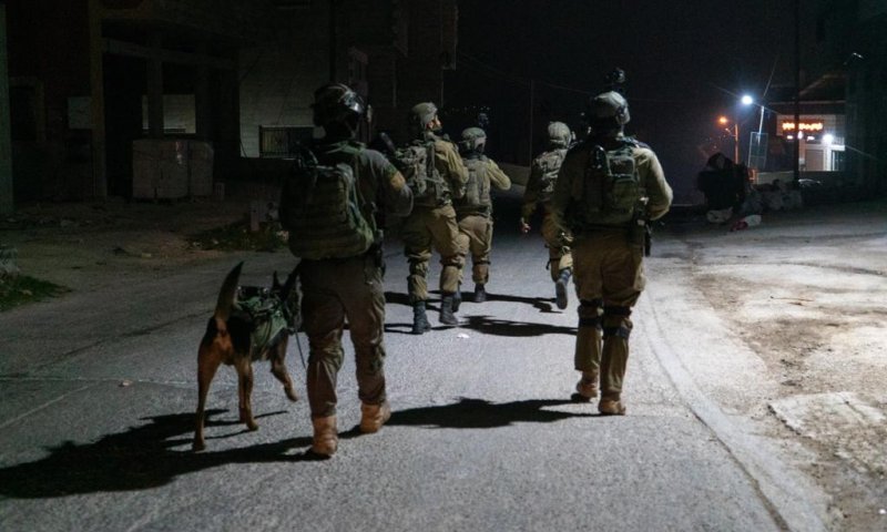 שובר גלים: הלילה נעצרו 15 מבוקשים באוגדת יו"ש