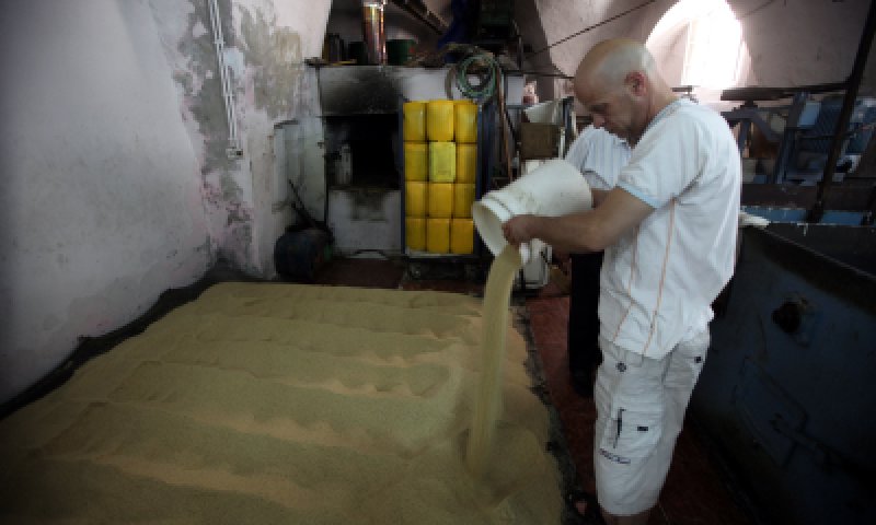 עקב המצב: הרבנות נגד הרשות הפלסטינית