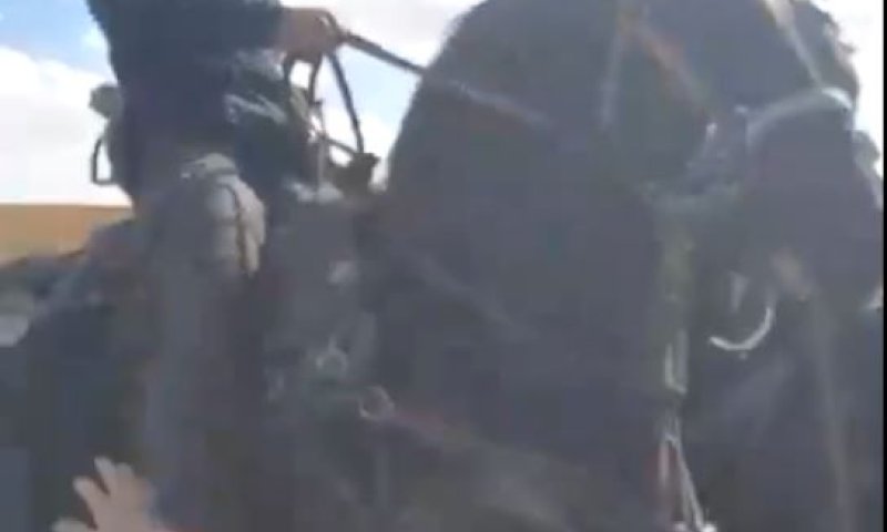 במשמרת של בן גביר: פרש דורס מפגין בכרם שלום. צפו