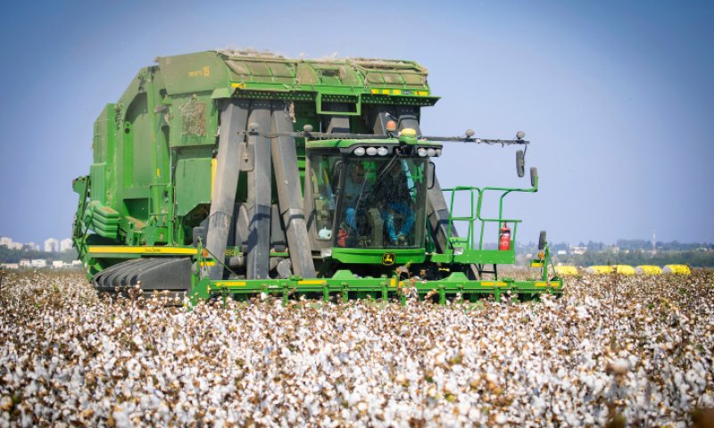 אצל חבריי מהקיבוץ, משהו בקשר הטבעי לארץ ניתק