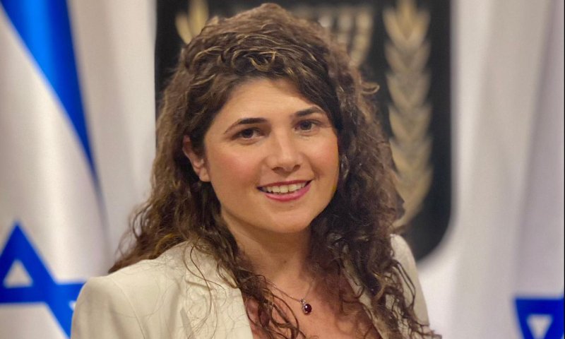 שרן השכל להצעות של הליכוד: "אין מצב"