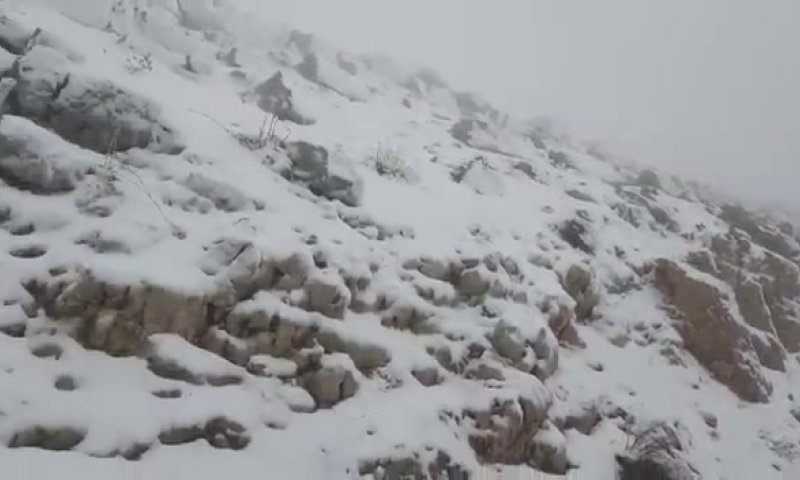 בוקר חורפי: עלייה במפלס הכנרת והחרמון נצבע בלבן