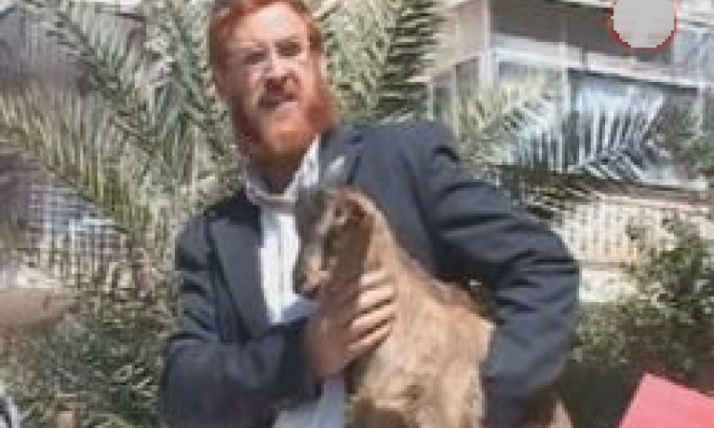 היום בבית המשפט: מדינת ישראל נגד גדי לקרבן פסח