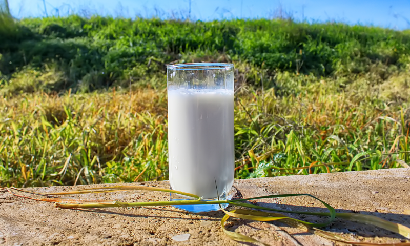 החיים עצמם: הדלק והחלב מתייקרים ביותר מ-3%