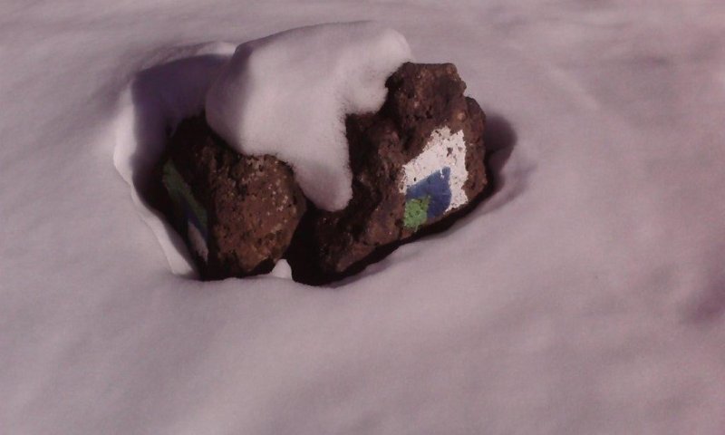 אחרי הסופה: תמונות מהחרמון המושלג והלבן