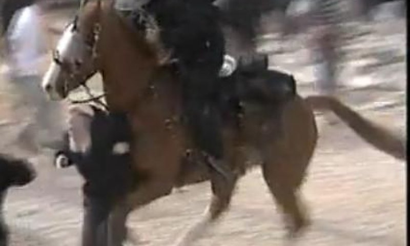 גזר הדין של "הפרש הדורס" &ndash; מחר