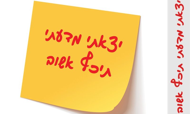 יצאתי מדעתי, תיכף אשוב &ndash; הספר החדש שלך