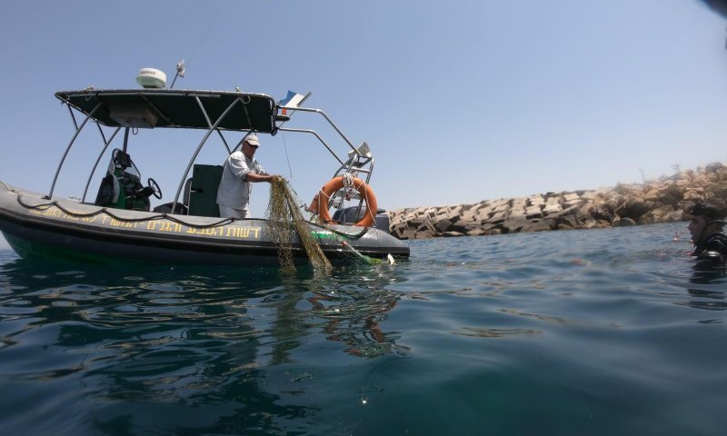 במשרד החקלאות הודיעו על איסור בדיג במהלך עונת הרבייה והגיוס