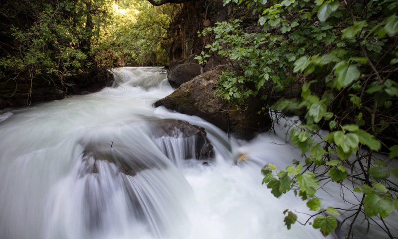 לידיעת המטיילים:  זיהום חריג ב-8 נחלים בצפון