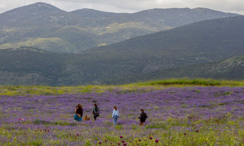 מזג האוויר: סוף שבוע נוח, בשבוע הבא התחממות